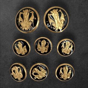 Vintage Equestrian Gold and Black Button Set Shank Metal